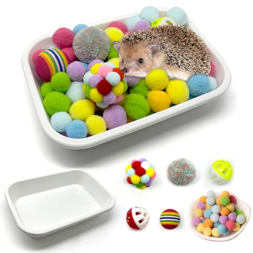 Funny Hedgehog Sandbox and Ball Set