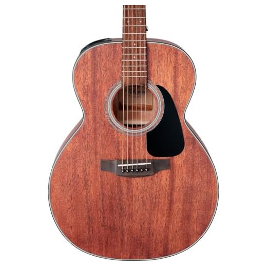Takamine G-series GLN11E NEX Acoustic-electric Guitar - Natural