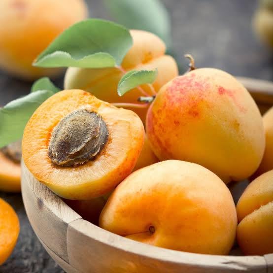 S. D ENTERPRISE Organic Best Fruit Apricot Live Plant (B0CWH54ZDY) Amazon Price History, Amazon Price Tracker