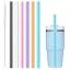 Color Straw*6 For 14oz/20oz