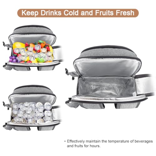 Sunflora Picnic Backpack for 4 Person Set Pack with Insulated Waterproof Pouch for Family Outdoor Camping (Gray)