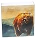 Decorative Watercolor Forest Animals Set of 6 Square Box Candle and Fireplace Wood Matches 2.25x2.25x.75
