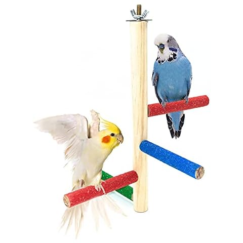 DuvinDD Parrot Cage Perch Stand Parakeet Toys Natural Wood Branch Perch for 3 or 4 Small Medium, Cockatiel, Conure, Budgie, Love Bird, Finch Cover