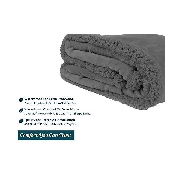 PAVILIA Waterproof Blanket for Couch, Sofa | Waterproof Dog Blanket for Large Dog, Puppy, Cat | Pet Blanket Protector | Plush Soft Warm Fuzzy Sherpa Blanket Bed Throw, Dark Grey, 60×80 PAVILIA Waterproof Blanket for Couch, Sofa | Waterproof Dog Blanket for Large Dog, Puppy, Cat | Pet Blanket Protector | Plush Soft Warm Fuzzy Sherpa Blanket Bed Throw, Dark Grey, 60×80