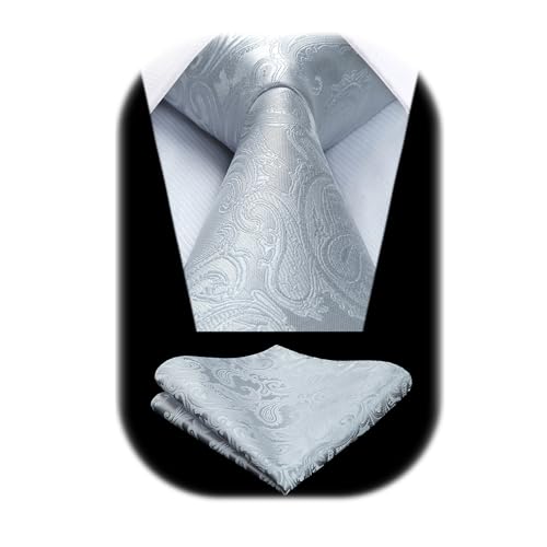 HISDERN Corbata Gris Claro Hombre Paisley Corbata y Pañuelo de Bolsillo a Juego Elegante Modernas para Boda Fiesta Plata