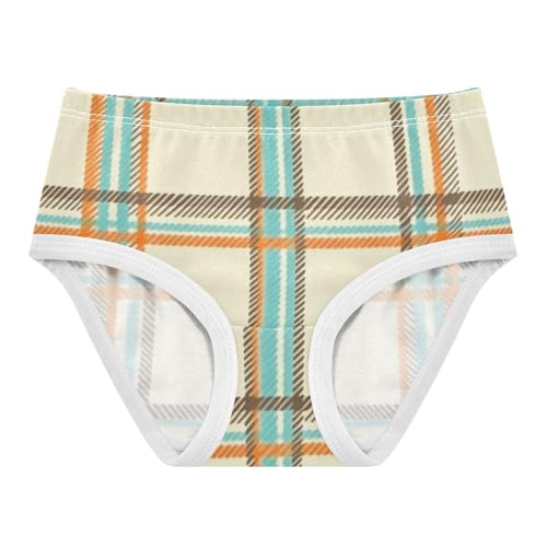 Girls' Cotton Briefs Organic Cotton Toddler Underwear for Kids Colorful Striped