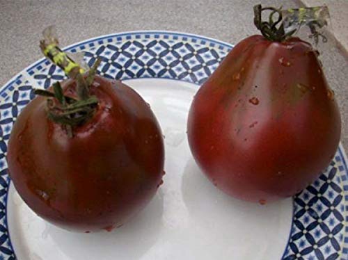 Seeds Tomato Black Truffle Vegetable Garden Heirloom For Planting Non Gmo #TOP4