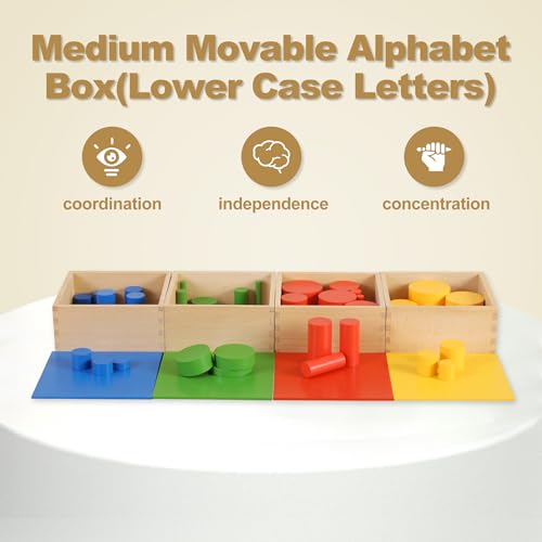 Image of MONTESSORI OUTLET Knobless Cylinders (Set of 4) for 3-6 Years Montessori Education at School and Home
