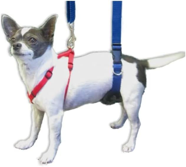 Miniatura 6 de GINGERLEAD Arnés de Eslinga de Soporte para Perros, X-Small se Adapta a Mascotas Pequeñas de Menos de 25 libras o Dachshunds con IVDD, Enfermedad