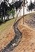 BaseCore Geocell Ground Grid Stabilizer | Perfect Gravel Grid for Patios, Sheds, Slopes, Driveways and Parking | 3