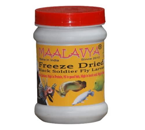 Maalavya Freeze Dried BSF Larvae (Black Soldier Fly Larva) Fish Food 50 GM (B09FLRTNJN) Amazon Price History, Amazon Price Tracker