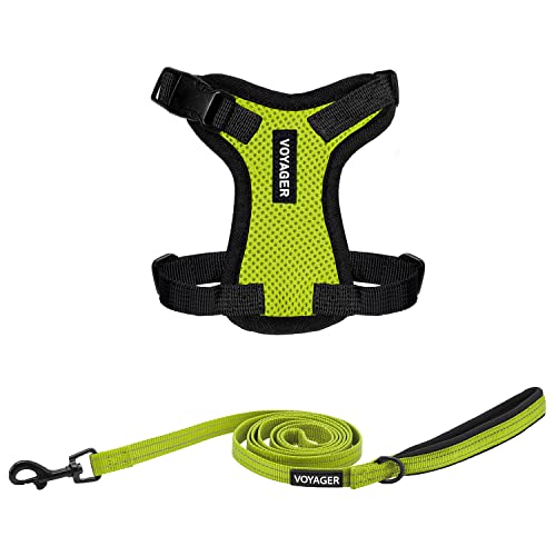 Image of Best Pet Supplies Voyager Step-in Lock Pet Harness w Reflective Pet Leash Combo Set with Neoprene Handle 5ft - Supports Small, Medium and Large Breed Puppies /Cats - Lime Green /Black Trim, XXS