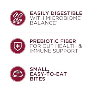 Purina ONE Small Bites Beef and Rice Formula Small High Protein Dry Dog Food Natural with Added Vitamins Minerals and Nutrients 311 lb Bag