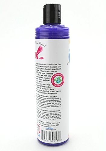 Kelco 50:1 Plum White Shampoo, 11.7 Fl. Oz. #TOP1