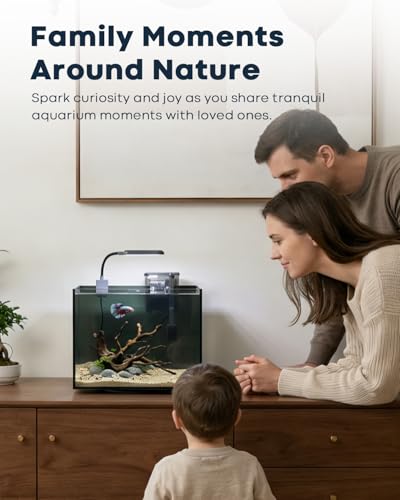 Image of 3 Gallon Aquarium Set Small Fish Tank Glass, Starter Kit with Heater Water Pump Cleaning Filter Bright Light Rocks Gravel Cleaning Tool, Leak-Proof Clear Rimless Desktop Spaces Saving Betta Fish