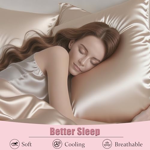 Mulberry Silk King Size Pillow Cases Set of 2, Ultra Smooth Soft Breathable Cooling Pillow Cases for Hot Sleepers, Silk Satin Pillowcases 2 Pack with Zipper for Hair and Skin, Gifts for Women