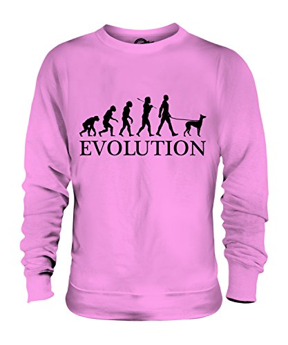 Sweat-shirt Petit Lévrier Italien Évolution Candymix unisexe pour homme et femme en coton doux