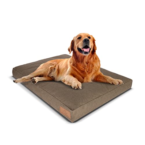 Durable & Comfortable Canvas Dog Bed, Premium Quality Water-Repellent Coating & Dirt Resistance, Removable & Washable Outer Cover, Heavy Duty Zippers For Small & Medium Size Dogs (Large, Brown) #TOP15