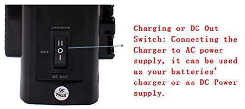 Soonwell 2-Channel Charger Sony V Lock Power Supply V Mount Li-Ion Battery Charger For Camcorder #TOP5