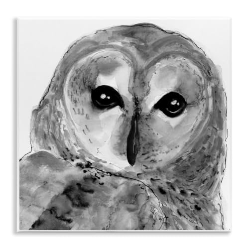 Barn Owl Bird Gazing Ink, 12 x 12 Inch Mounted Print on Wall Plaque
