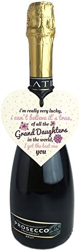 RED OCEAN Granddaughter Gift Hanging Wooden Heart Birthday Thank You Gifts For Her Keepsake Sign