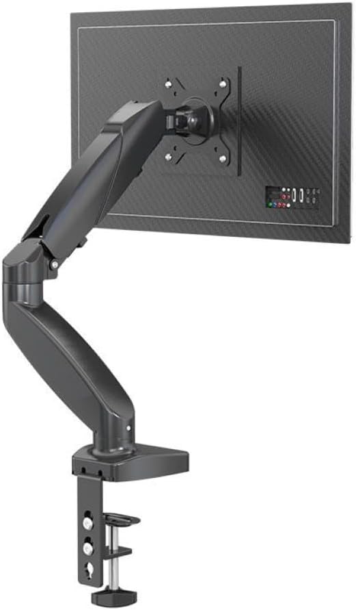 Acegeek Panther01 Monitor Stand with monitor attached, rear view showing VESA mount