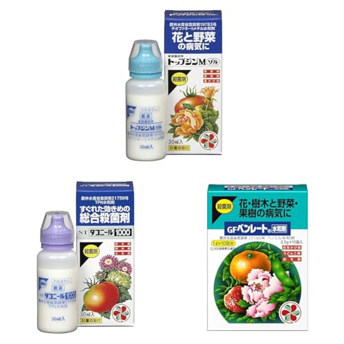 yZbgzZFw| Eۍ ƒ뉀|pgbvWM] 30ml | A aC  + Eۍ ST_Rj[1000 30ml + Eۍ GFx[ga 0.5g×10