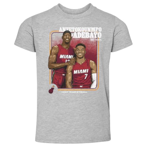 500 LEVEL NBA Giannis Antetokounmpo & Bam Adebayo Miami Heat Step Brothers Kids Toddler T-Shirt (Heather Gray, 2T)