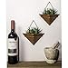 Artisanal Geometric Air Plant Holder – Made From High­Quality, Sustainably Sourced Wood – Minimalist Style & Easy­To­Hang Design – Ethical Geometric Wall Decor Air Plant