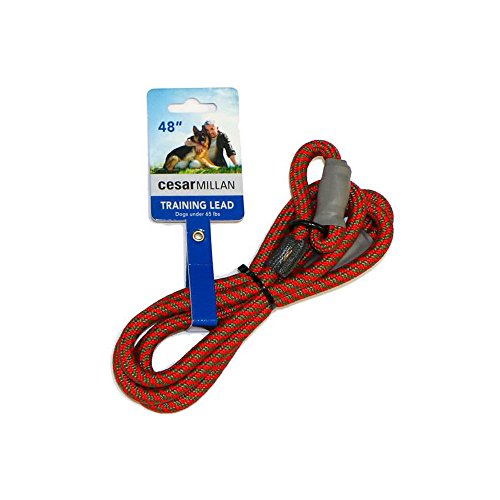 Cesar Millan Leine - Trainingsleine für Hunde - 2in1 Halsband Hund und Leine - Slip Lead - Retrieverleine mit integrierter Halsung (Small/Medium - Farbe: Rot/Olive) - Länge 120 cm, Durchmesser 1 cm