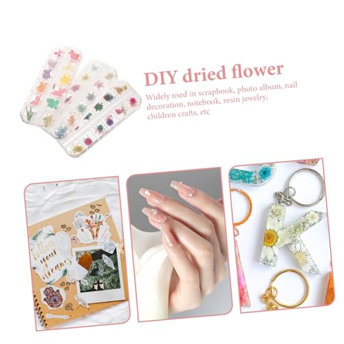 Kit de accesorios con flores secas para manualidades miniatura 4