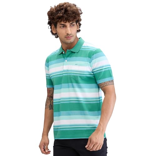 Image of Colorplus Men's Classic Fit Stripe Pattern Pure Cotton Half Sleeve Polo Neck Casual T-Shirt