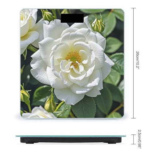 Báscula digital White Rose para peso corporal con vidrio templado miniatura 2