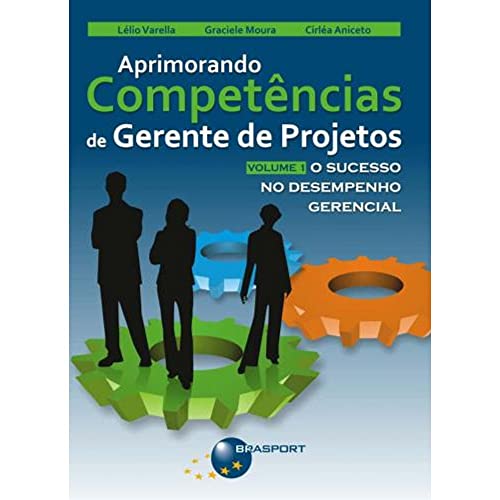 Aprimorando competências de gerente de projetos: o sucesso no desempenho gerencial