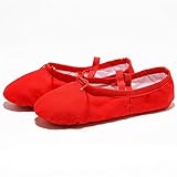  FISH4 Zapatillas de Baile para niños, Zapatillas de Ballet de Suela Blanda de Lona Profesional para Adultos, Bailarina para niñas y Mujeres