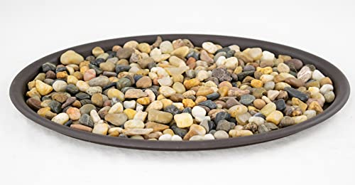 Yubonzai 1 Oval Black Plastic Humidity/Drip Tray + Rock for Bonsai Tree and House Indoor Plant - 10.75