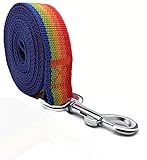 TAIAN 4FT/5FT/6FT Strong Dog Leash, Nylon Dog Leashes for Small Medium Large Dogs (1 in x 6 ft, Rain