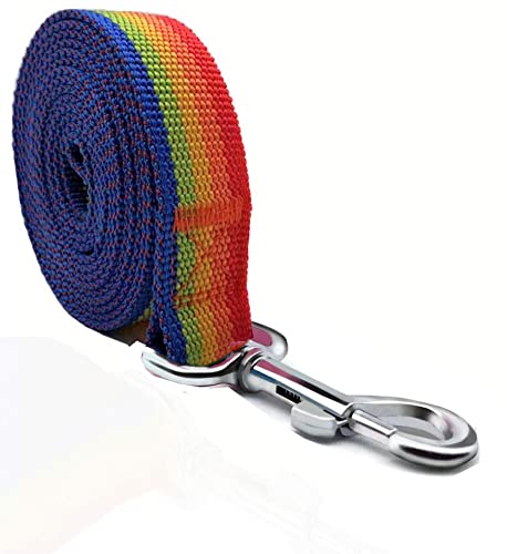 TAIAN 4FT/5FT/6FT Strong Dog Leash, Nylon Dog Leashes for Small Medium Large Dogs (5/8 in x 5 ft, Rainbow)