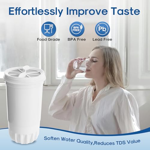 Filtro de agua de repuesto para jarras de 5 etapas compatible con modelos Zero ZR-001 6