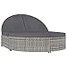 vidaXL Chaise Longue à 2 Places avec Coussins Chaise Longue de Patio Chaise Longue de Balcon Chaise Longue d'Extérieur Résine Tressée Gris