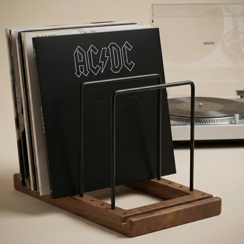 ZICOTO Decorative Vinyl Record Storage For Up to 75 Single...