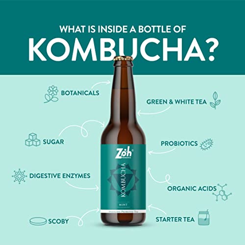 Image of Zoh Probiotics Mint Kombucha | (330 ml, Pack of 6) Tea with detoxifying acids, and digestive enzymes. Raw, unfiltered, and unpasteurized with Mother | Made with real mint tea