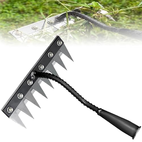 Iron Weed Rake 2.0, Upgraded Multifunctional Weed Artifact, Soil Loosening Weeding Tool, Detachable Spike Hoe, Iron Rake for Gardening and Weeding (Style-8 tines) -  HOKITANS iron rake 2.0