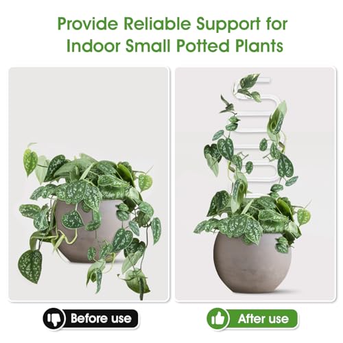 JETTIFY 2 Pack Curvy Acrylic Trellis for Indoor Plants, Small Plant Trellis for Potted Plants, 13 Inch Plant Stakes for Indoor Plants, Clear Trellis for Climbing Plants Vine Ivy Hoya by JETTIFY - Image 3