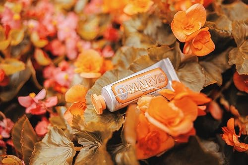 Marvis Ginger Mint Toothpaste の商品画像 4