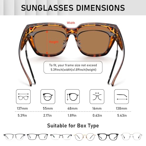 Image of HAOLOTA Polarized Sunglasses for Men Women Designer Driving Glasses Lightweight UV400 Protection