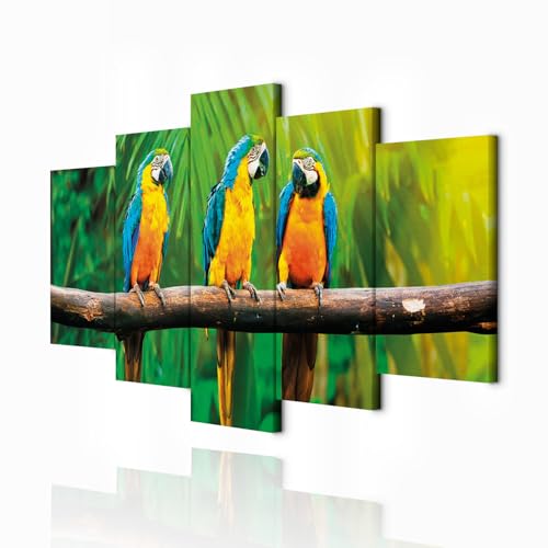 decomonkey - Impression sur Toile Animau Perroquets 100x50 5 Pièces - Tableau Décoration...