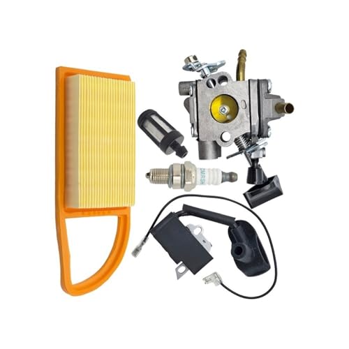 Bobina de Encendido del carburador, módulo Magneto, Filtro de Aire, Compatible con soplador de Mochila BR500, BR550 y BR600.