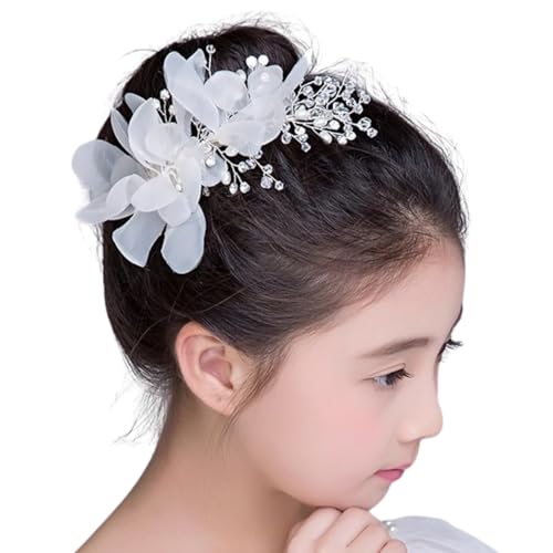 wAANZT[ sAm\ wbhhX ̎q q  nhCh AW (D) (PME11)