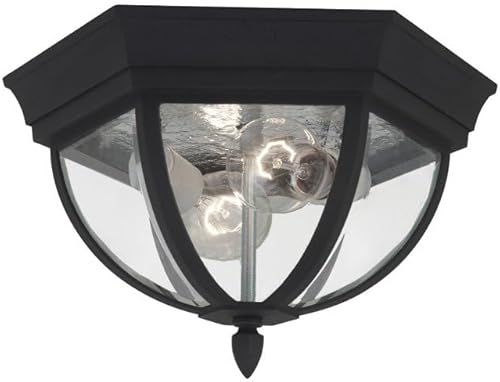 Generation Lighting 78136-12 Wynfield Two Light Outdoor Ceiling Flush Mount Hang